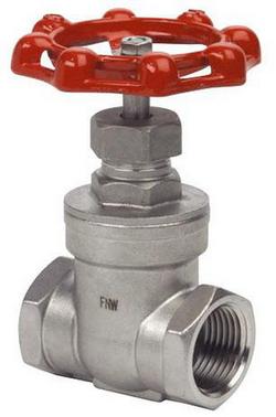 1/2 in. Stainless Steel NPT Gate Valve