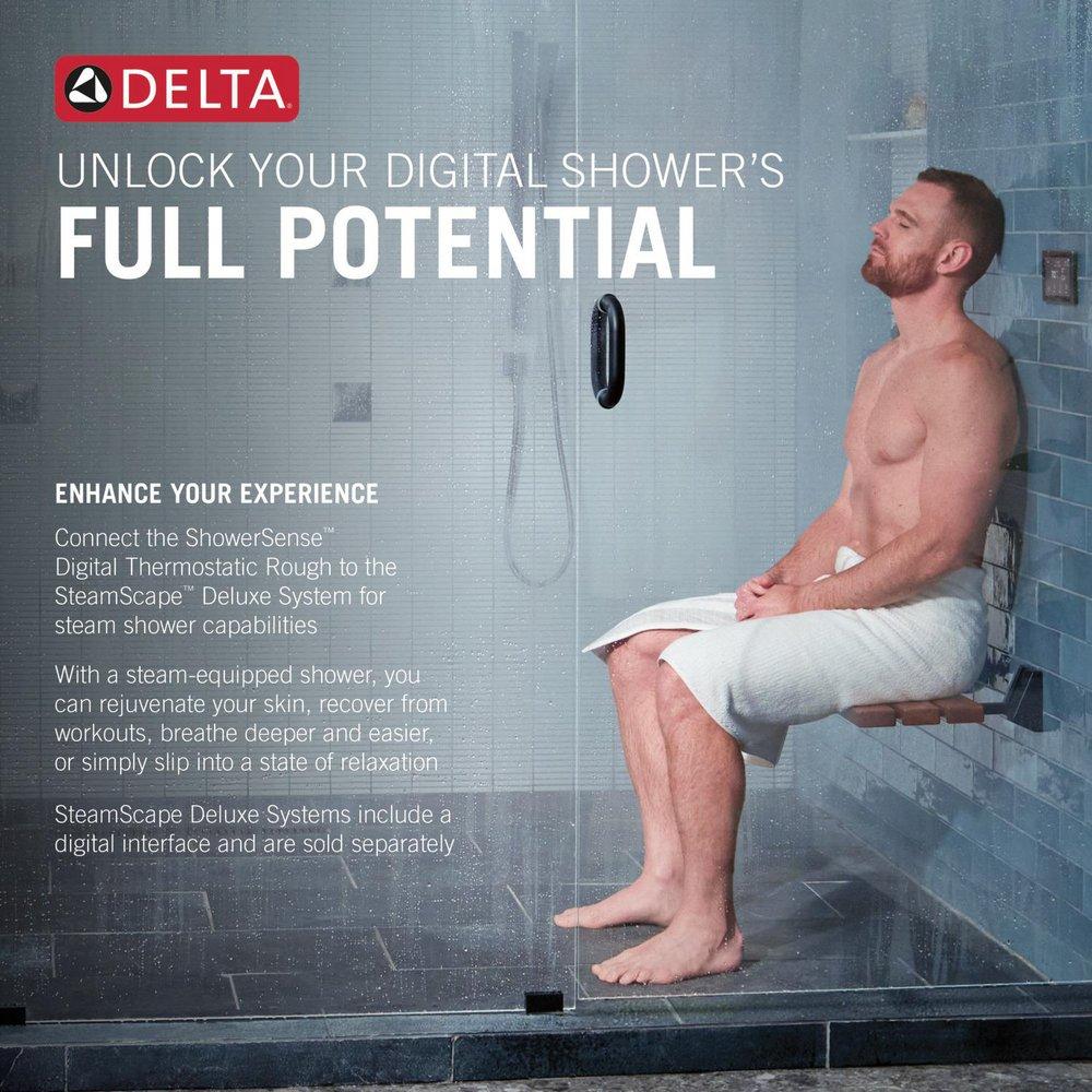 ShowerSense Digital 2-Port Thermostatic Shower Rough 