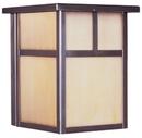 60W 1-Light Medium E-26 Incandescent Outdoor Wall Sconce in Burnished