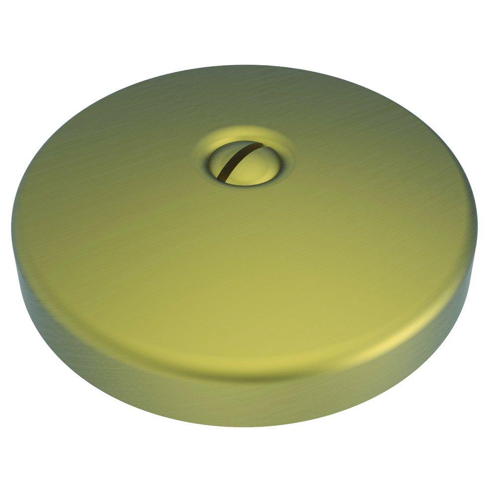 Brasstech Antique Brass Waste & Overflow One Hole FACE Plate With Screw Antique Brass 