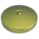 Brasstech Antique Brass Waste & Overflow One Hole FACE Plate With Screw Antique Brass 