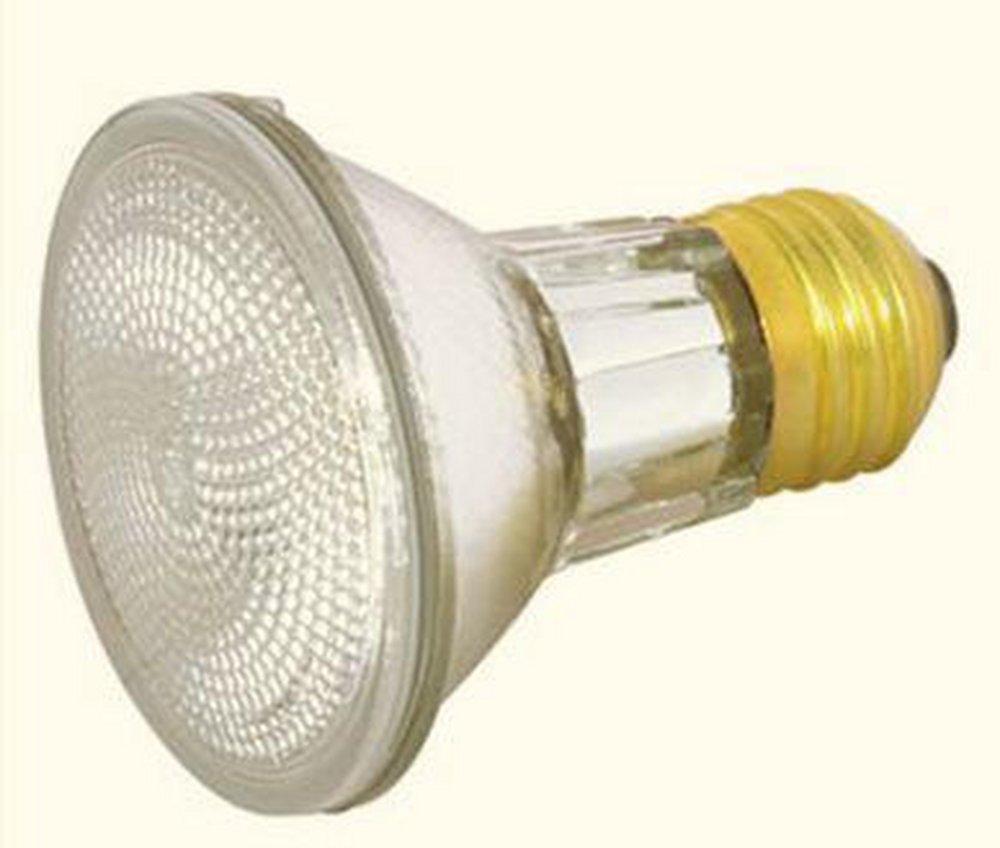 SATCO Clear PAR20 Halogen Light Bulb with Medium Base 