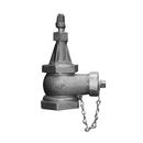 James Jones Company FIP x MIP Angle Hose Valve with Cap and Chain 