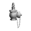 James Jones Company J-3700 Series Bronze Hydrants FIP x Hose Cap 