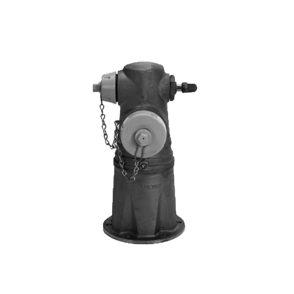 James Jones Company 4 x 2-1/2 in. Assembled Fire Hydrant 