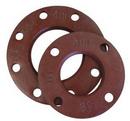 8 in. IPS Painted Ductile Iron Back-Up Flange