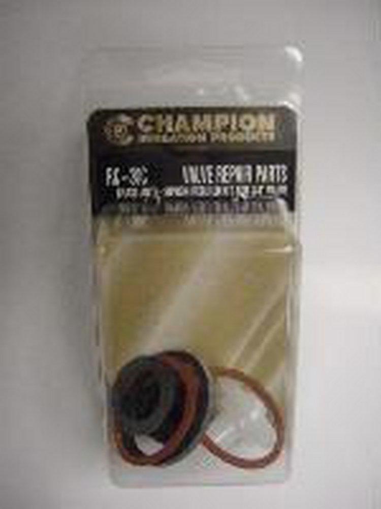 Champion-Arrowhead Brass Valve Repair Kit 