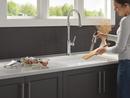 Single Handle Pull Down Kitchen Faucet in Lumicoat Arctic Stainless 
