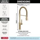 Single Handle Pull Down Kitchen Faucet in Lumicoat Champagne Bronze 