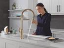 Single Handle Pull Down Kitchen Faucet in Lumicoat Champagne Bronze 