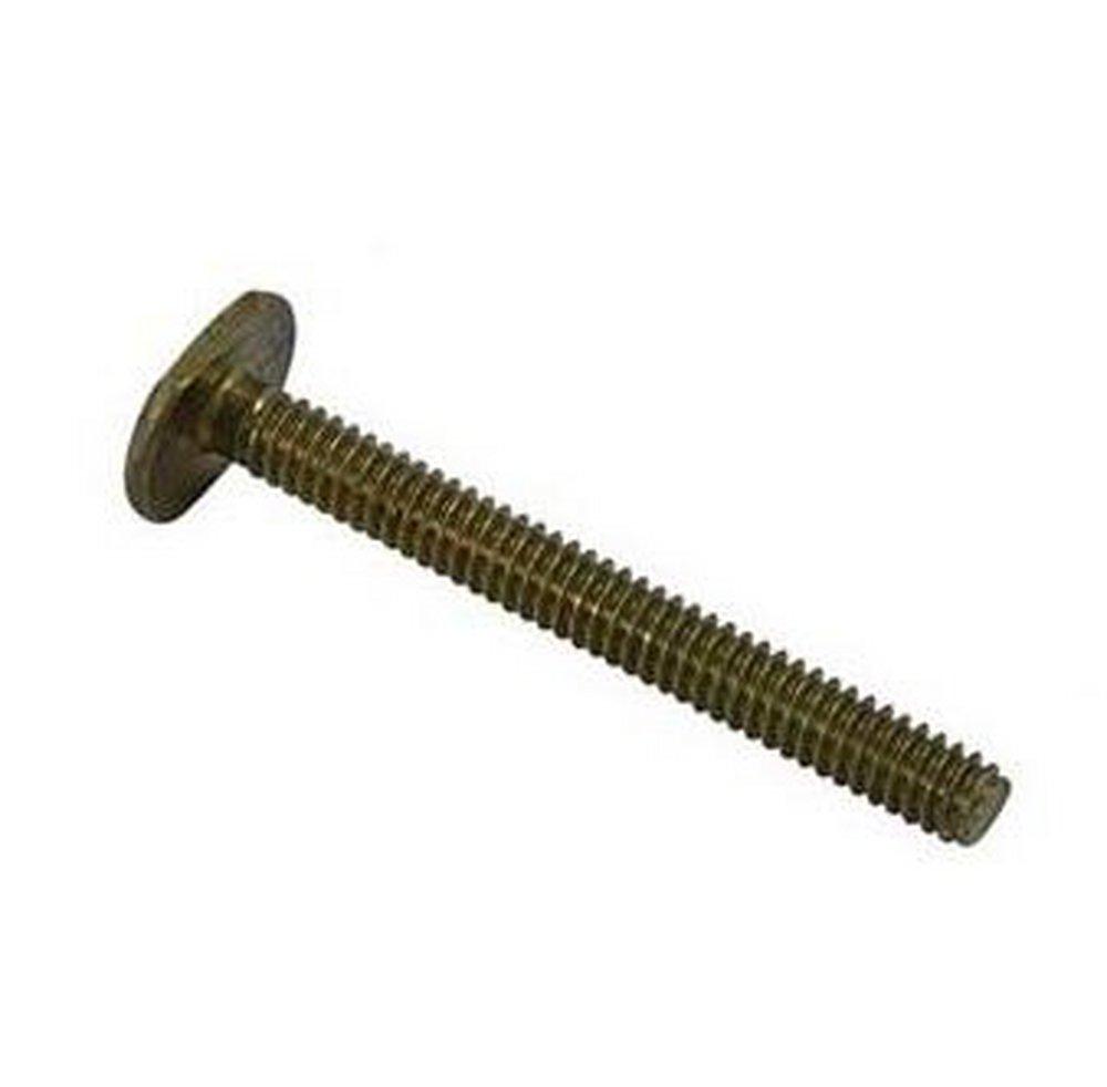 Plumbing Products 1/4 in. Brass Closet Bolt 