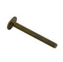 Plumbing Products 1/4 in. Brass Closet Bolt 