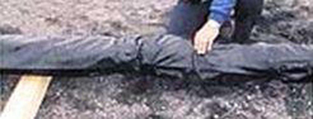 Pacific States Cast Iron Pipe 21 in. Polywrap for Ductile Iron Pipe 