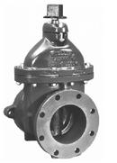 10 in. Push On x Flange Cast Iron Resilient Seated Resilient Wedge Gate Valve (Less Accessories)