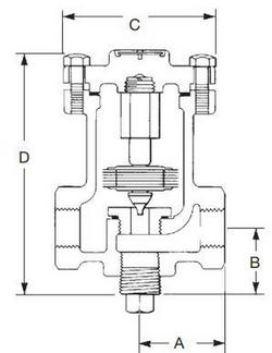 3/4" NPT T-250 Balanced Pressure Thermostatic Steam Trap, Cast Iron, Straightway Pattern
