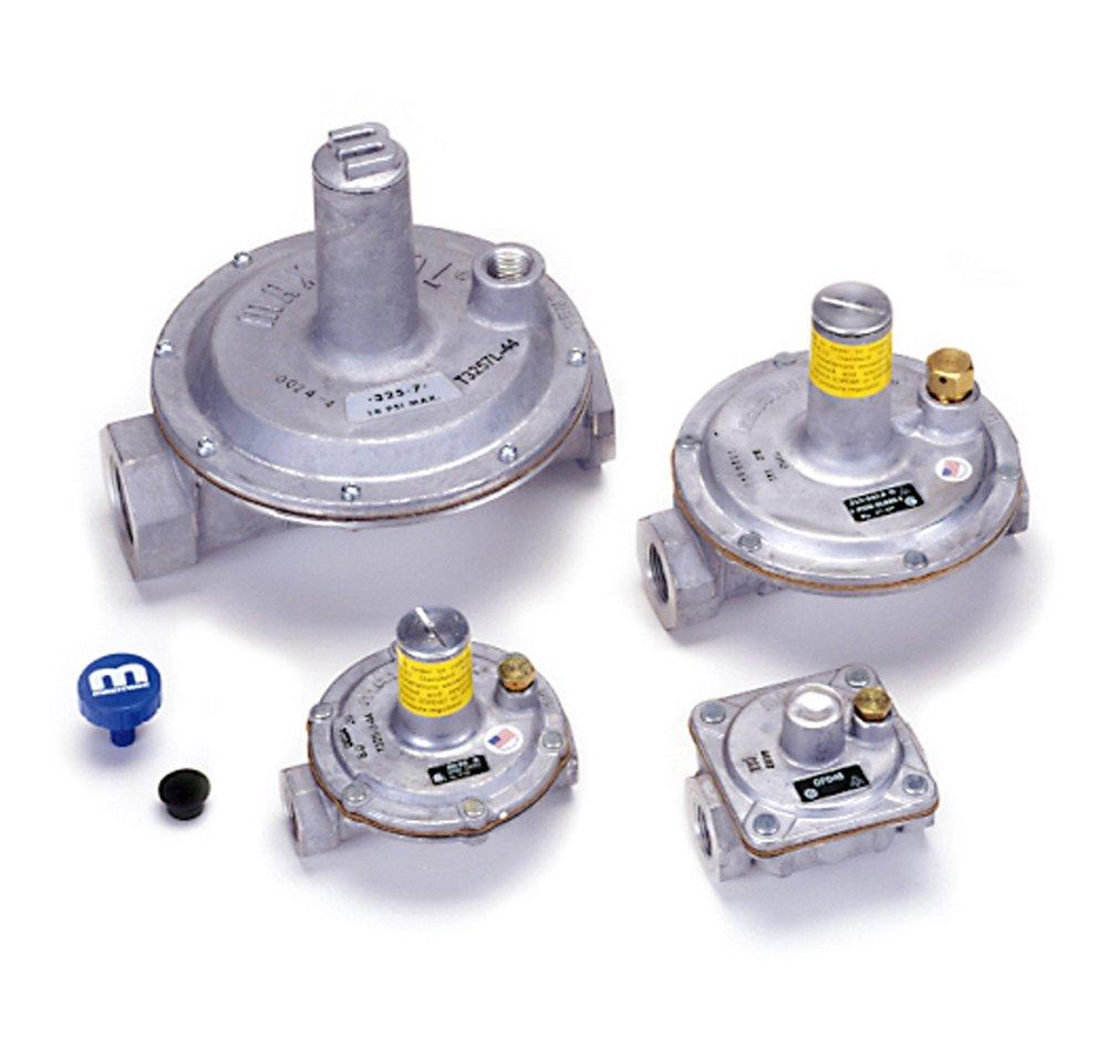 Gastite Silver NPT 2 psi Steel Pressure Regulator 