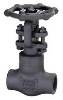 1/2 in. Forged Steel Standard Port Socket Weld Gate Valve