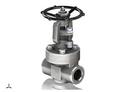 3/4 in. Forged Steel Conventional Port FNPT x Female Socket Weld Gate Valve