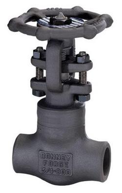 3/4 in. Forged Steel Reduced Port Socket Weld Gate Valve