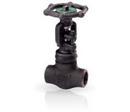 Bonney Forge Forged Steel Standard Port Socket Weld Gate Valve 