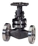 1 in. Forged Steel Standard Port Flanged Gate Valve