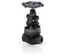1 in. Forged Steel Threaded Globe Valve