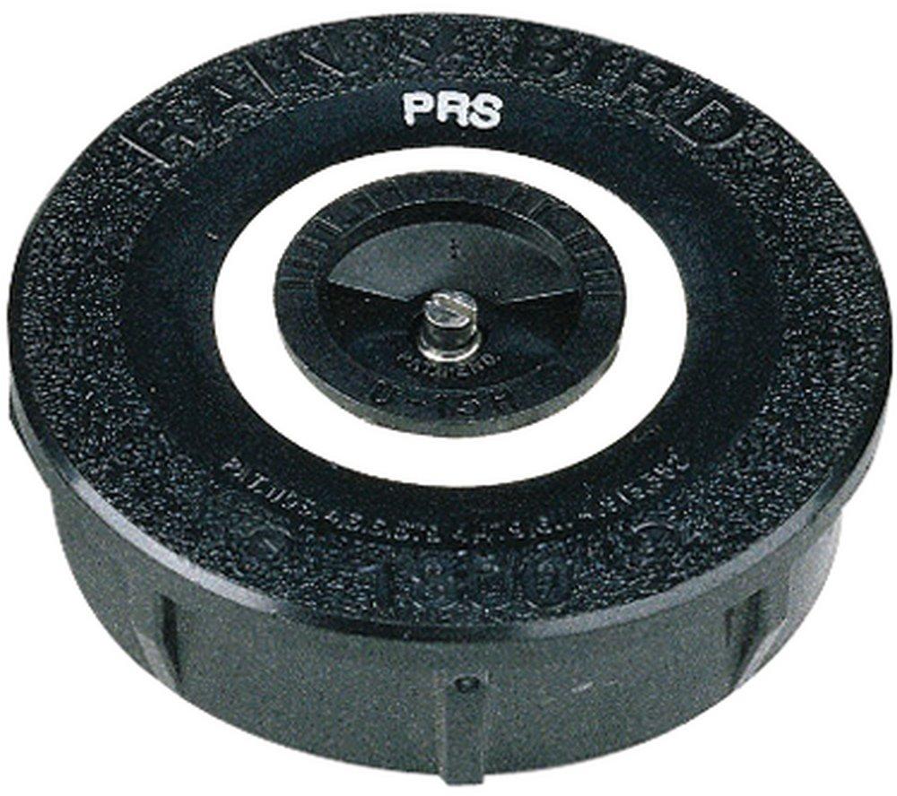 Rain Bird 6 in. Pop-Up Spray Head 