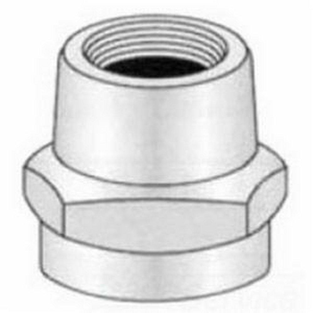 Pasco FHT x FPT Reducing Brass Adapter 