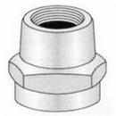 Pasco FHT x FPT Reducing Brass Adapter 