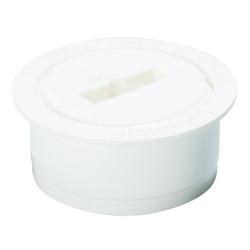 2 in. Plastic Cleanout