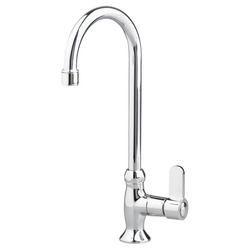 Single Handle Bar Faucet in Polished Chrome