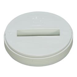 4 in. Plastic Countersunk Cleanout Plug