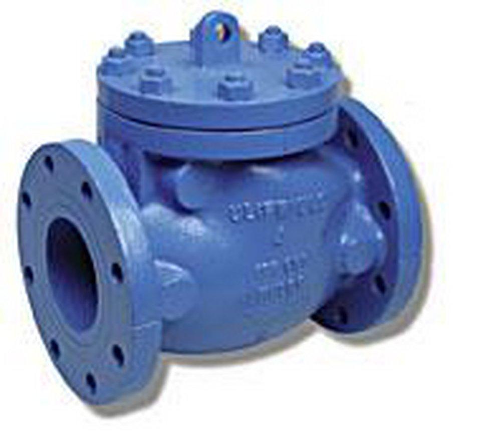 Matco-Norca Cast Iron Flanged Swing Check Valve 