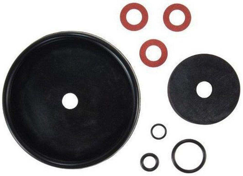 Source Replacement Valve Repair Kit 