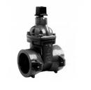 6 in. Push On x Flanged Cast Iron Resilient Wedge Gate Valve