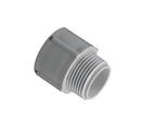 CANTEX Schedule 40 PVC Conduit Male Adapter 
