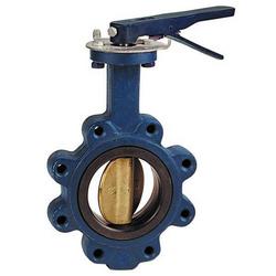 2-1/2 in. Cast Iron EPDM Locking Lever Handle Butterfly Valve