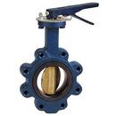 8 in. Cast Iron Lug EPDM Gear Operator Handle Butterfly Valve