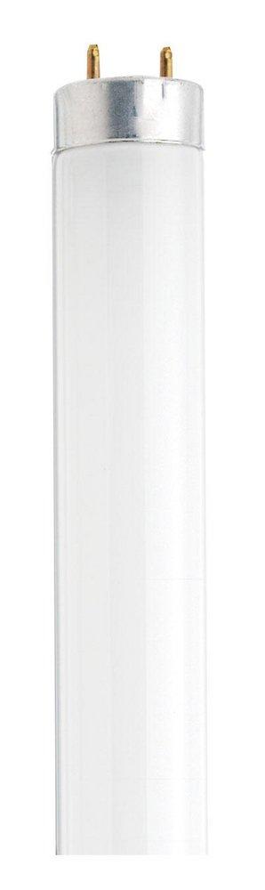 SATCO Daylight T8 Fluorescent Light Bulb with Medium Base 