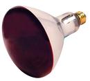250W R40 Dimmable Incandescent Light Bulb with Medium Base