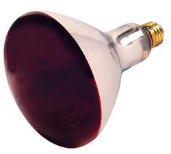 250W 6-1/2 in. R40 Incandescent Light Bulb with a Medium E-26 Base Dimmable in Red