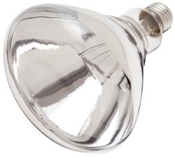250W 6-7/8 in. R40 Incandescent Light Bulb  Dimmable in Clear