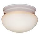 Thomas Lighting Matte White 5-1/2 x 9-1/2 in. 60 W 2-Light Medium Flush Mount Ceiling Fixture with Etched Glass 