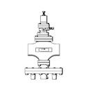 Armstrong International NPT 200# Ductile Iron Flexible Gas Pipe Pressure Regulator 