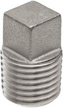 1/4 in. MNPT 150# Global Square Head 304 Stainless Steel Plug