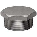 2 in. MNPT 150# Global Hex 316 and 316L Stainless Steel Plug