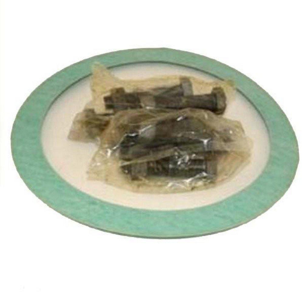 Carson's Nut-Bolt & Tool Non Asbestos Bolt & Ring Set Kit 