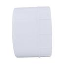 White PVC DWV Female Adapter 