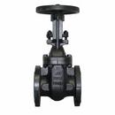 16 in. Cast Iron Flanged Gate Valve