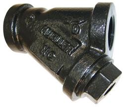 2 in. Cast Iron FNPT 20 Mesh Wye Valve Stainer